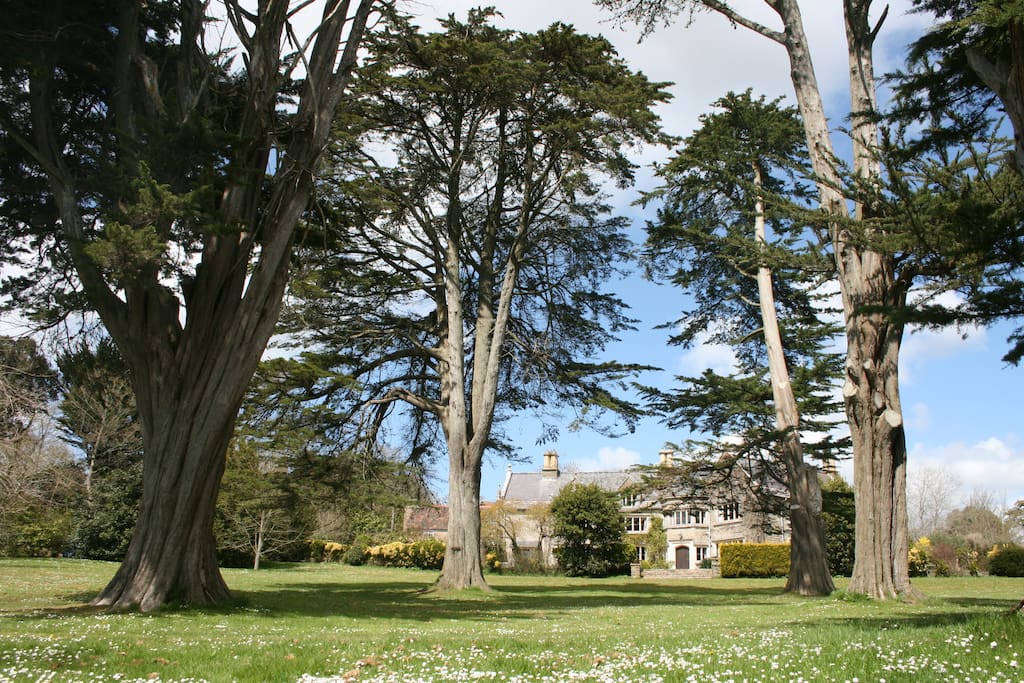 Extensive grounds and gardens - exclusive hire if all 5 cottages at Norburton Hall are booked (for 18-24 people).
