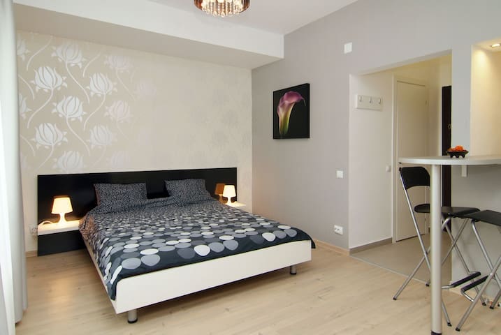 Central studio Romana square