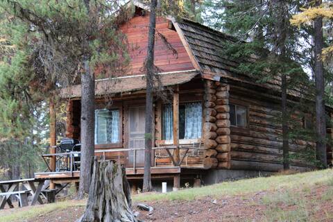 'Moose Paddle' cozy cabin nestled in the pines.