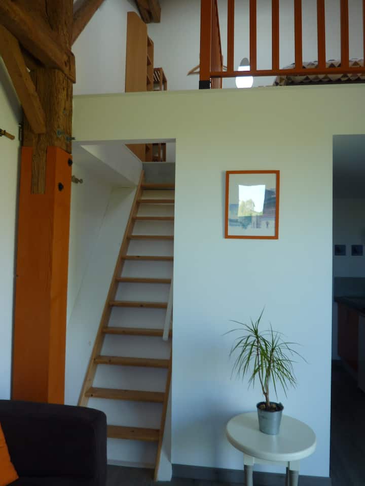 Charming studio, spa, swimming pool, near the ocean
