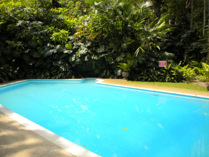 A swimming pool surrounded by lush greenery provides a serene environment. The water sparkles in a vibrant blue, contrasting with the tropical plants that frame the pool area, creating a refreshing oasis.