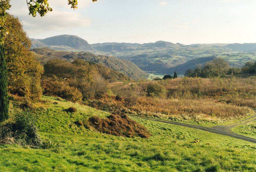 View of Manod and Migneint mountains from Hafod