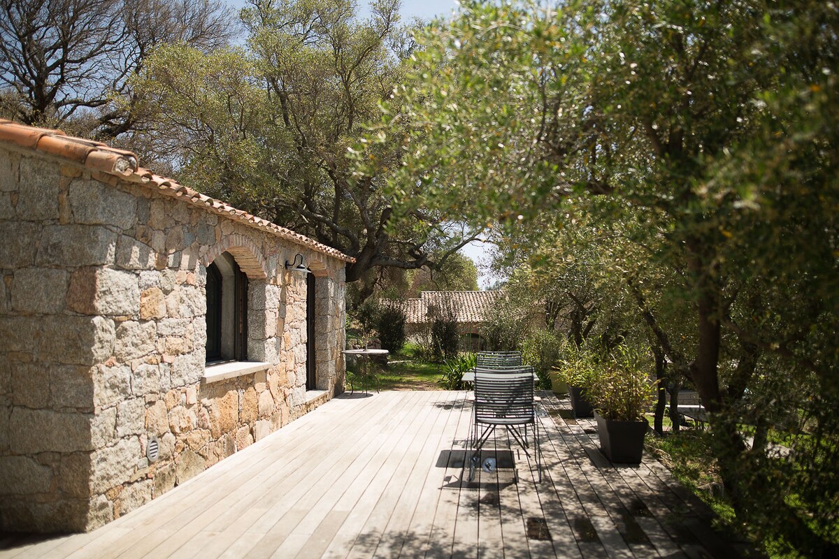 A stone-walled exterior showcases a charming house surrounded by olive trees. A wooden deck extends outside, furnished with metal chairs positioned for relaxation. Soft sunlight filters through the leaves, creating a serene ambiance in this tranquil outdoor setting.