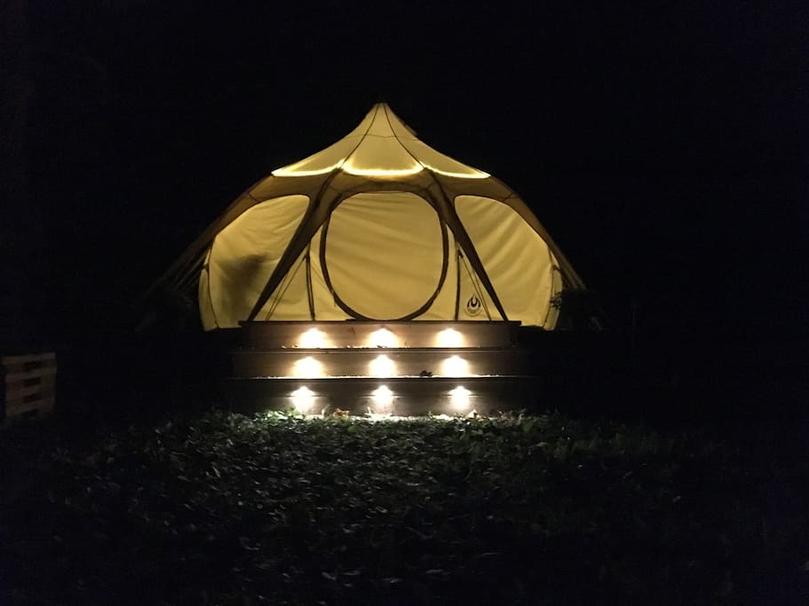 Gorgeous at Night!