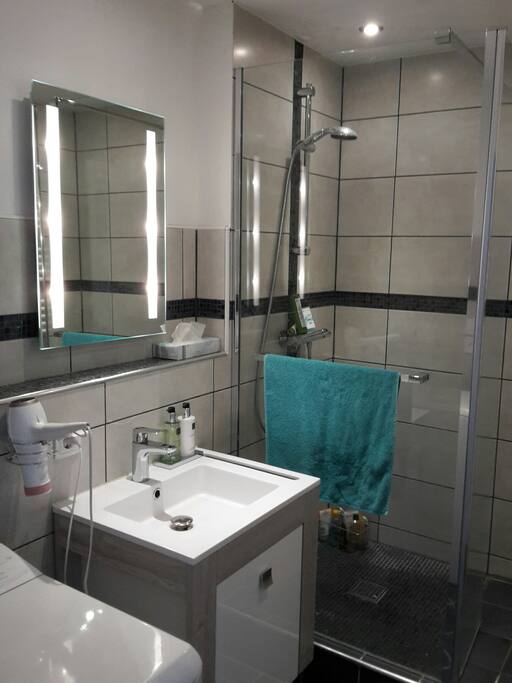 Salle de bains neuve