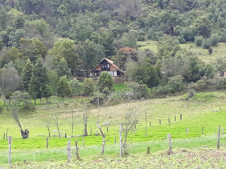 Rodeada de naturaleza