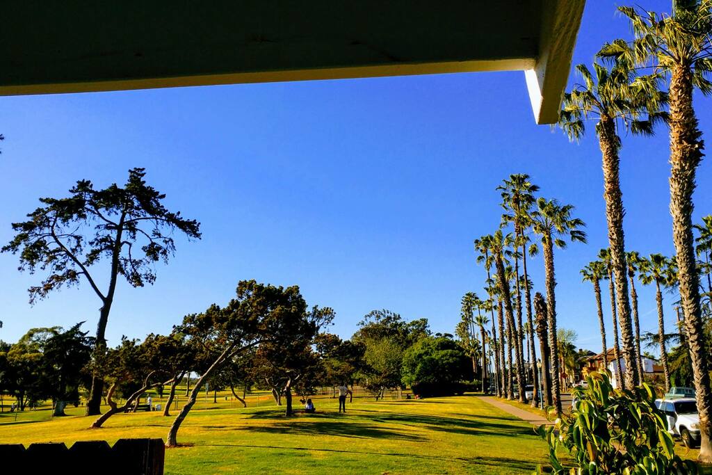 Get a great view of the quintessential palm tree-lined street while standing on the front deck.