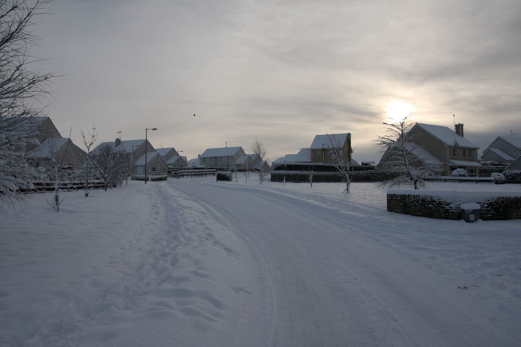 Our neighborhood in the snow.