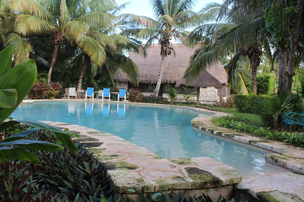 Amazing swimming pool.