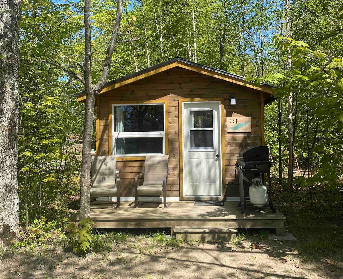 The rustic cabin exterior is framed by lush green trees, showcasing a wooden façade. A private deck is equipped with two chairs, a barbecue grill, and a main entrance door. Natural light filters gently through the surroundings, emphasizing a serene atmosphere.