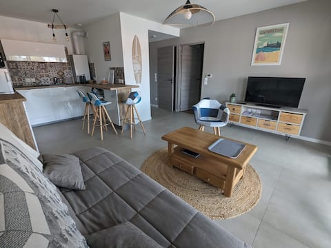 Top performing Airbnb: New Capbreton port: two-room apartment with large terrace in Capbreton