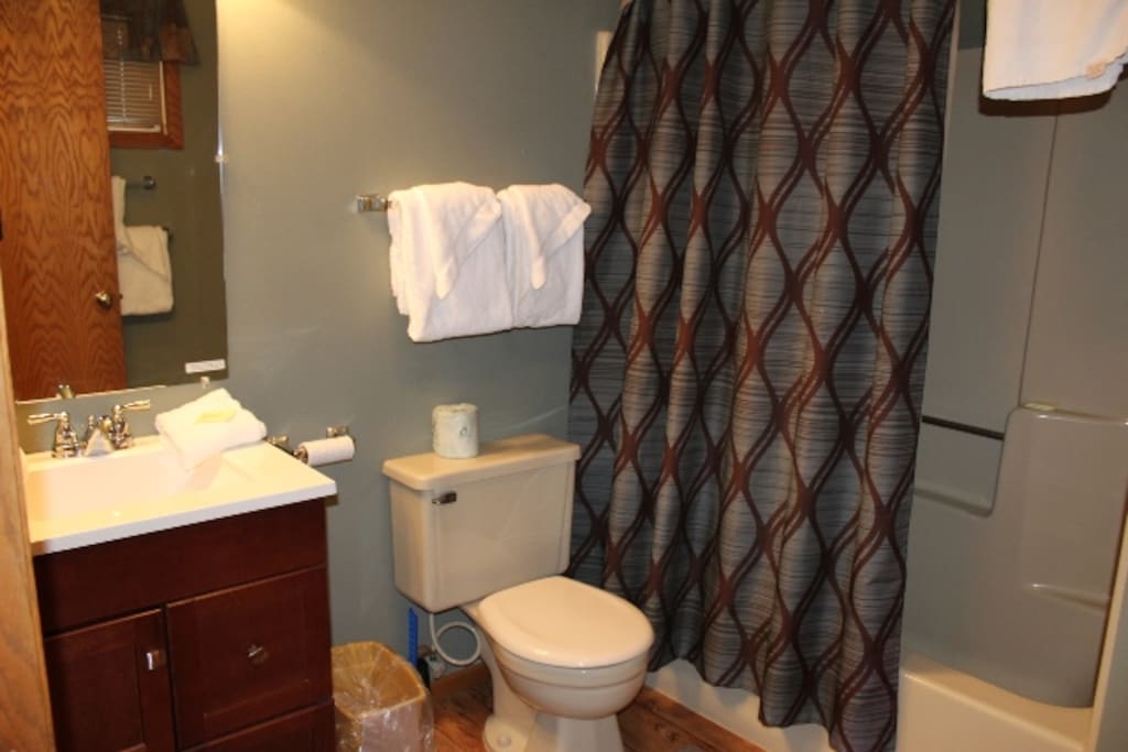 Main Floor Bathroom