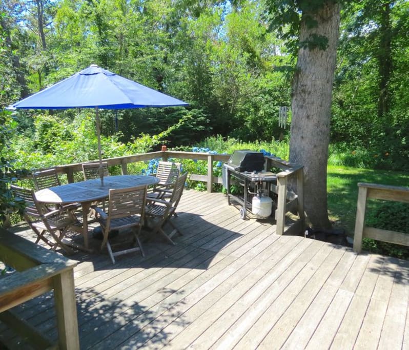 Deck with table, umbrella, and gas grill!
