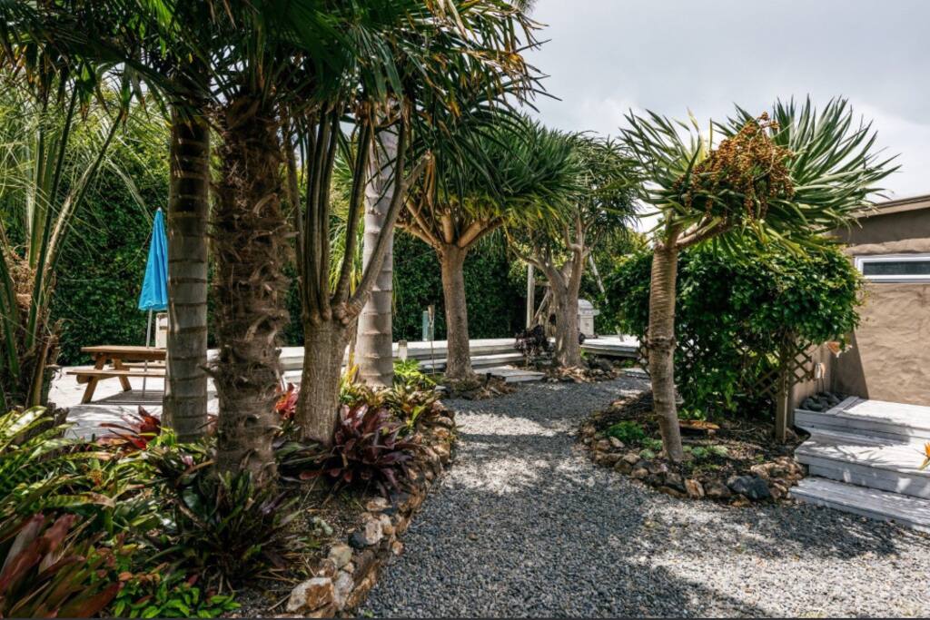 Entry to house, lush and tropical garden