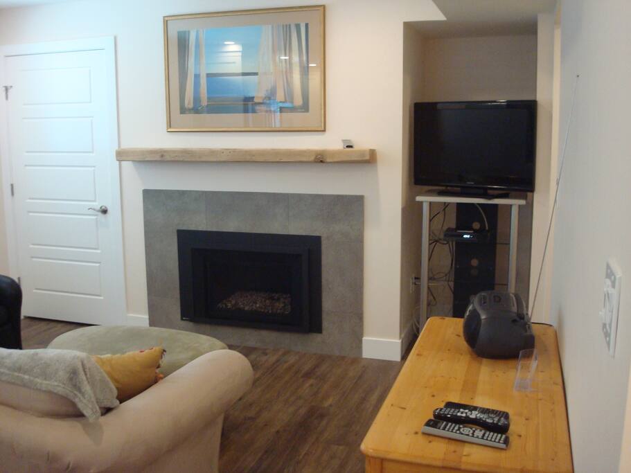 Livingroom with Cozy Romantic Pebble Gas Fireplace