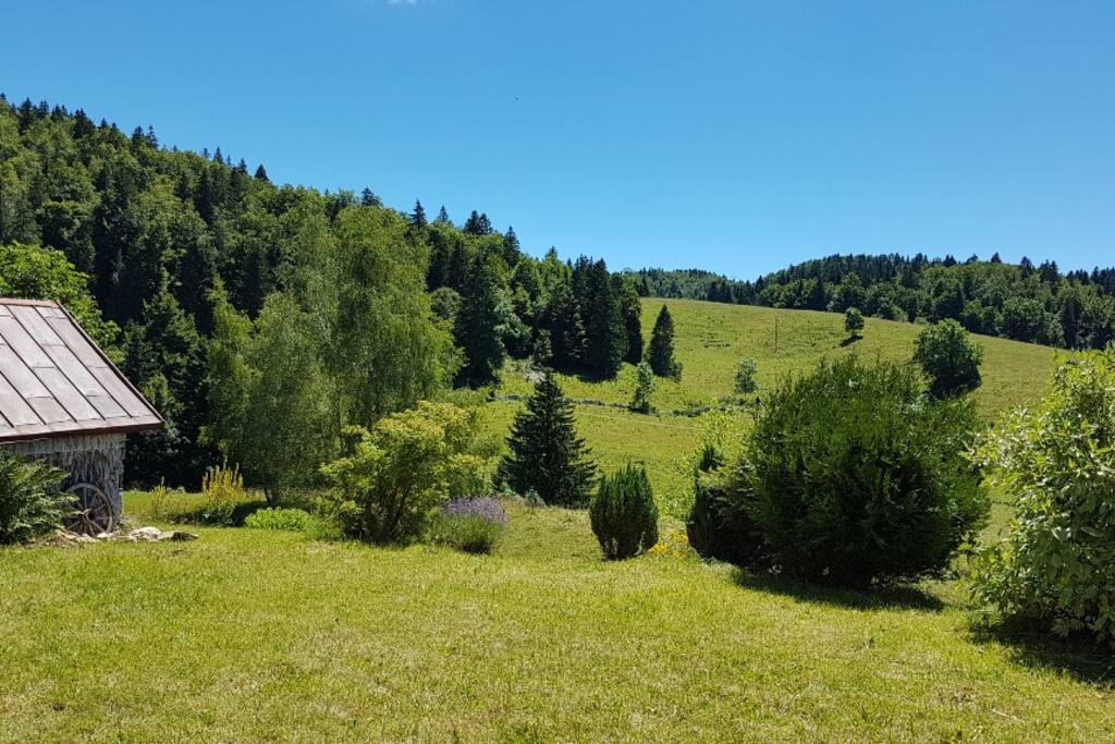 Vue panoramique