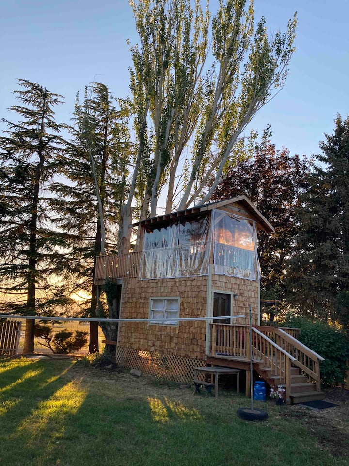 Top 10 Cabin Rentals Near Medford, Oregon Updated 2024 Trip101