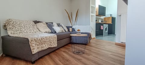 Peace, relaxation and comfort in Pamiers.