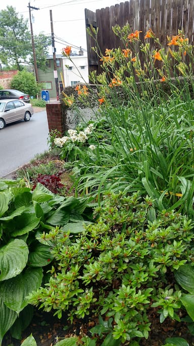 Lots of green packed into a small urban lot