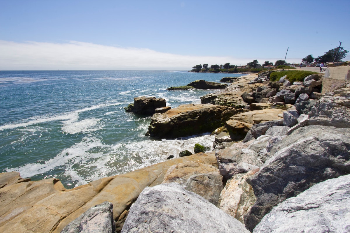 Rocky coastline is depicted with gentle waves lapping against the shore. Sunlight illuminates the surface of the water, reflecting shades of blue. Various sizes of rocks, both smooth and rugged, are visible along the shore, with greenery positioned in the background.