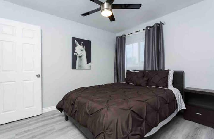 A quien size bed plus a roll up bed 