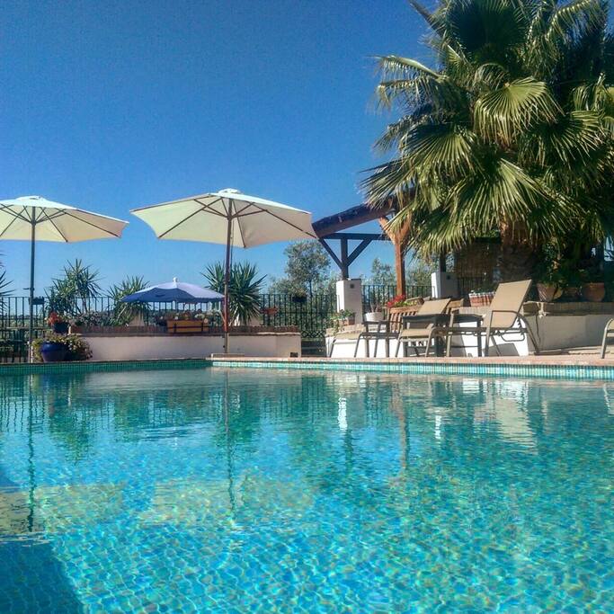 Relaxing by the pool