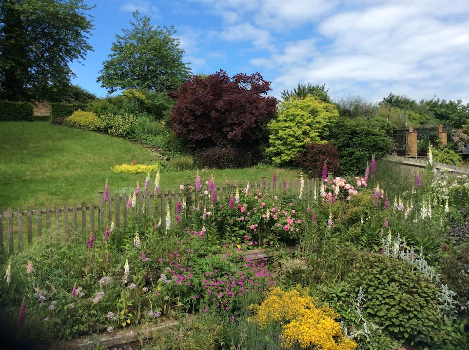 Back garden
