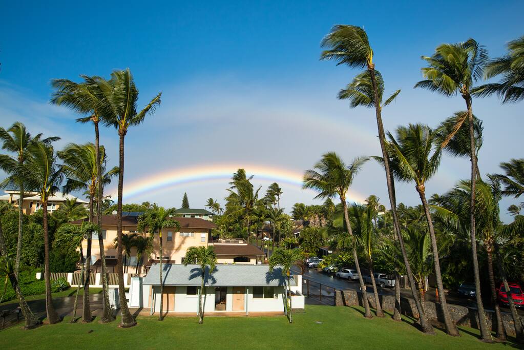 backyard rainbow view