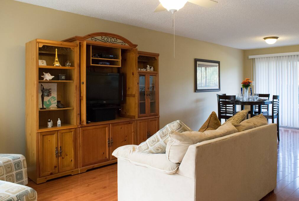 TV area.