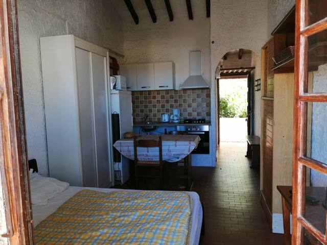 Download 2 chambres condo au nord de la plage de myrte For Free