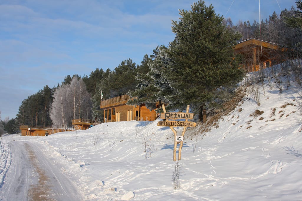 Winter
