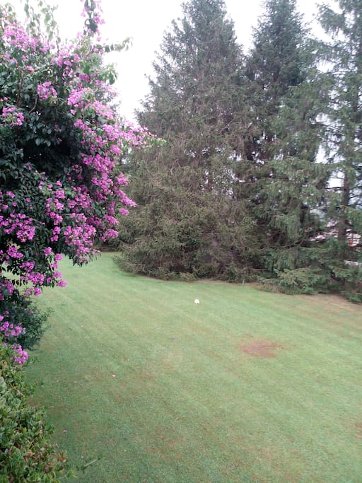 Jardín