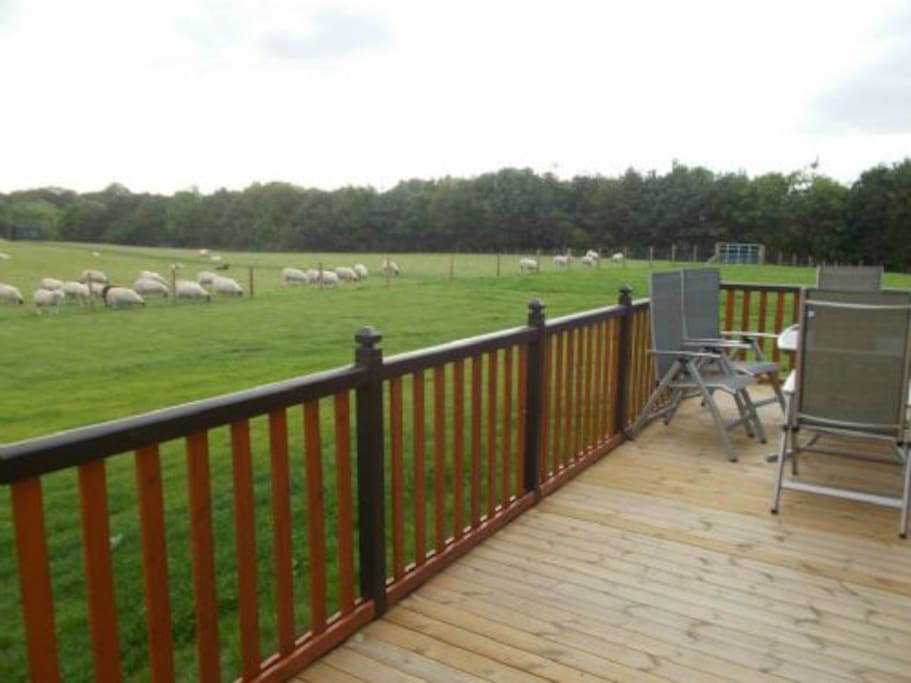 Balcony View