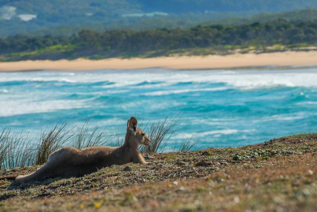 Look at me now headland