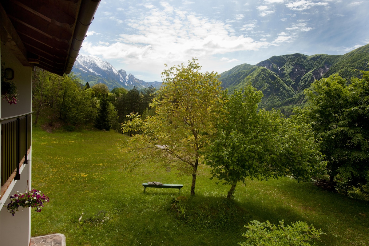A scenic view captures the surrounding mountains and lush greenery. A tree stands in the foreground on a well-maintained lawn, providing a serene atmosphere. The sky is partly cloudy, allowing sunlight to illuminate the natural landscape.