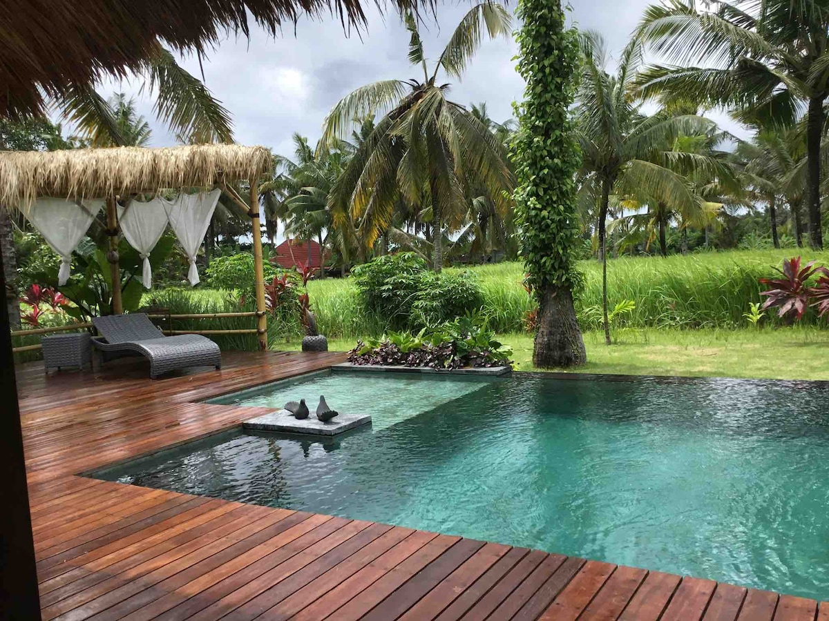 Villa in Sukawati · ★4.9 · 1 bedroom · 1 bed · 1 private bath，Airbnb 可比房源