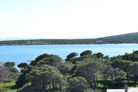 Successful Airbnb property: Sea apartment Volf 3, Pag in Košljun