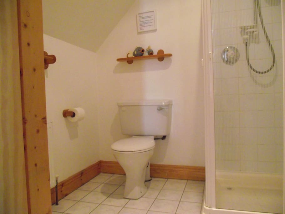 Private bathroom with shower next door to bedroom