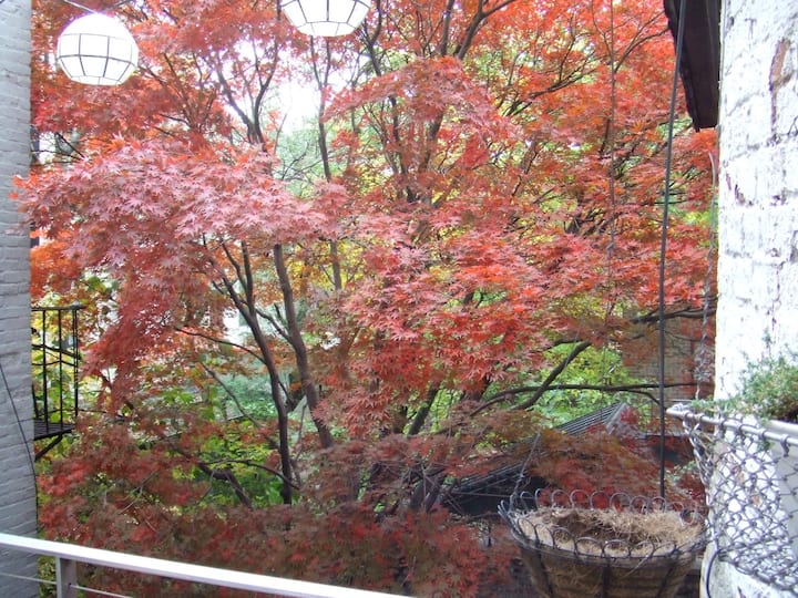 SoHo Apt Share in Townhouse, Private Terrace