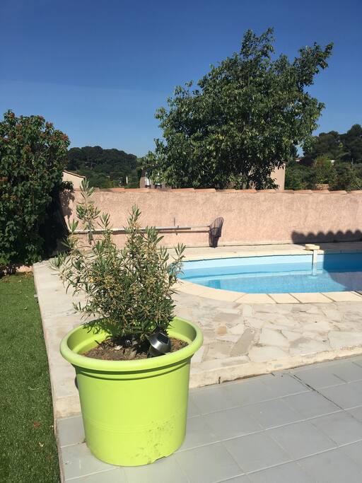 terrasse 2
