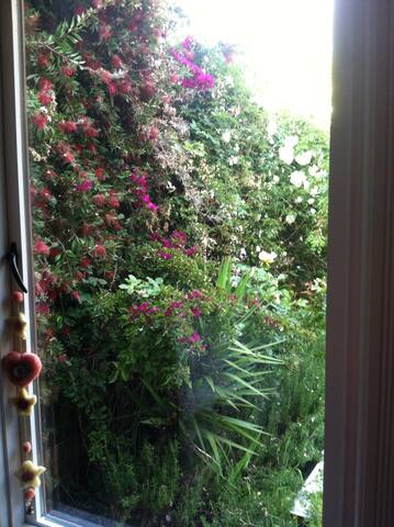 Sunny Modern Victorian Great San Fran Location gallery image 3