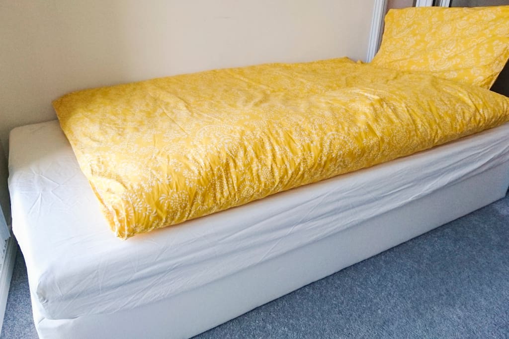 This is the second bed (twin size) in the sunroom.