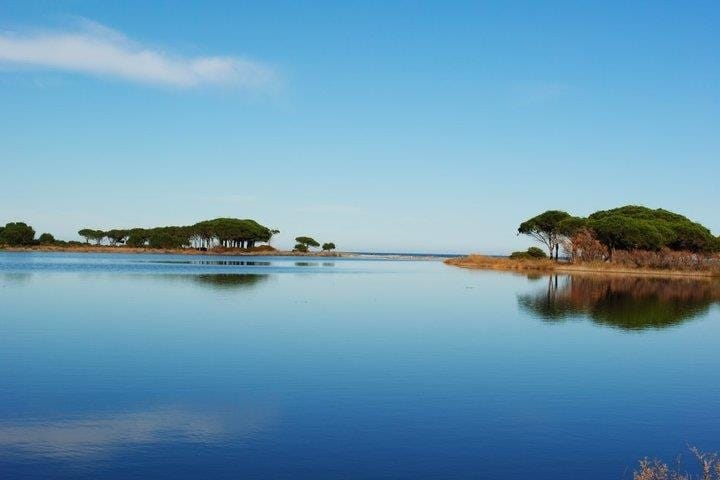 A serene landscape features calm waters reflecting gently swaying trees along the shore. The clear blue sky creates a peaceful atmosphere, enhancing the natural beauty of the scene. Sparse vegetation outlines the water's edge, completing this tranquil setting.