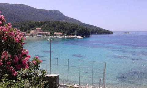 HOUSE WITH A VIEW         ŽULJANA PELJEŠAC