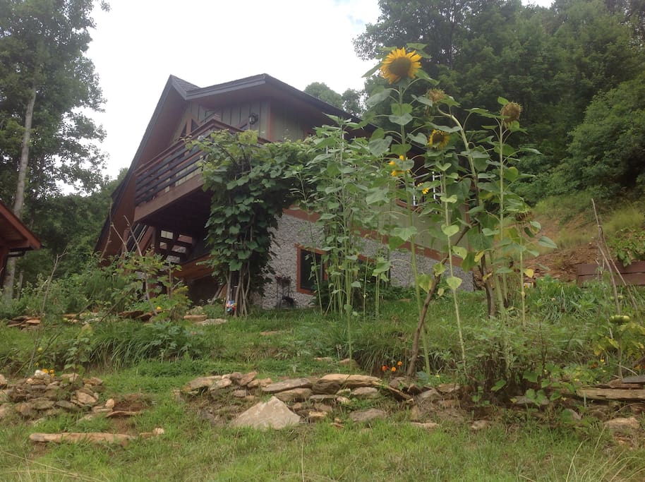 Loft apartment during the summer. Herb and vegetable garden, arbor with concord grades, sun flowers.