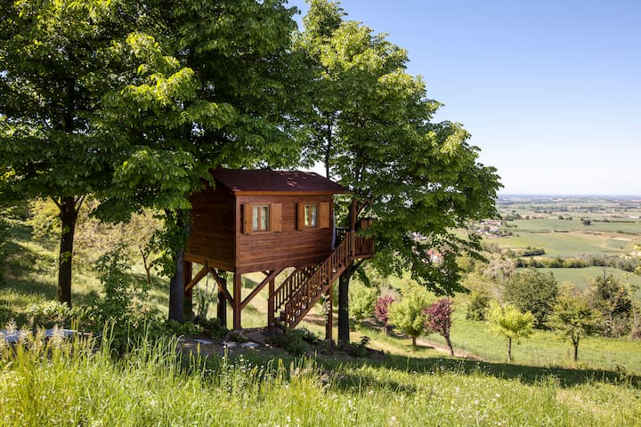 Aroma(n)tica TreehouseinMonferrato