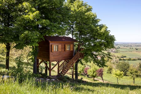 Aroma(n)tica TreehouseinMonferrato