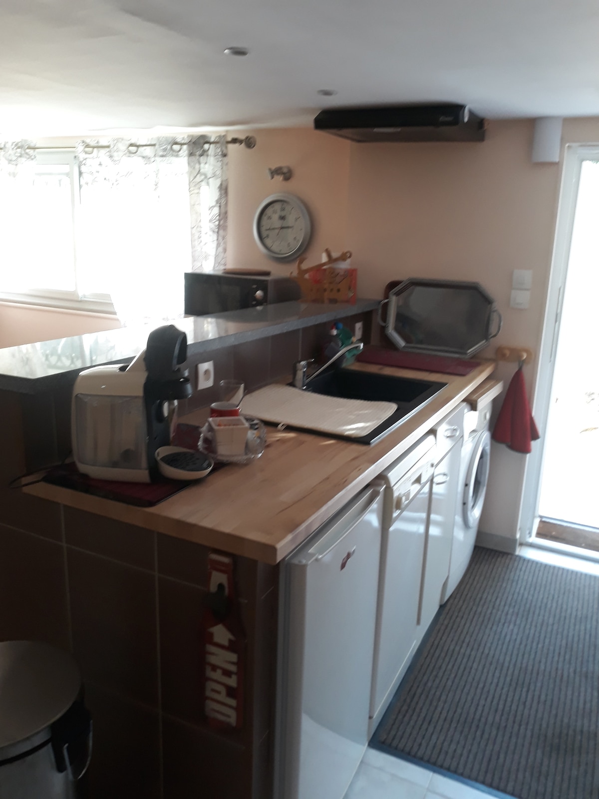 The kitchenette features a compact layout with modern appliances, including a coffee maker, toaster, and a sink. A washing machine and dishwasher are neatly integrated beneath the countertop. Natural light enters through a window, and a door provides access to the outside.