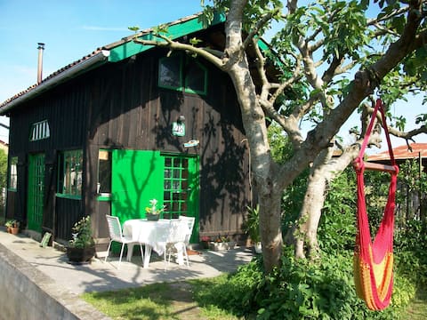 Popular Airbnb listing: Beautiful cabin for rent. in La Teste De Buch