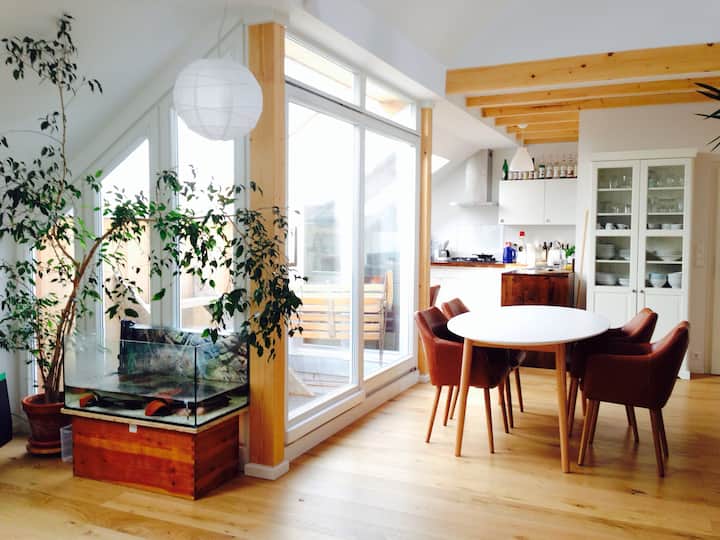 Sunny Penthouse in Prenzlauer Berg